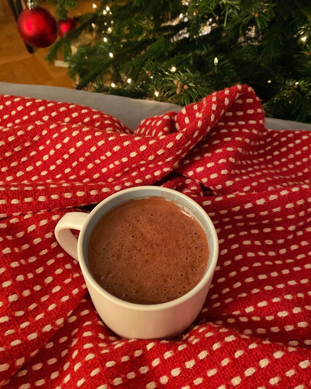 Cacao Dream