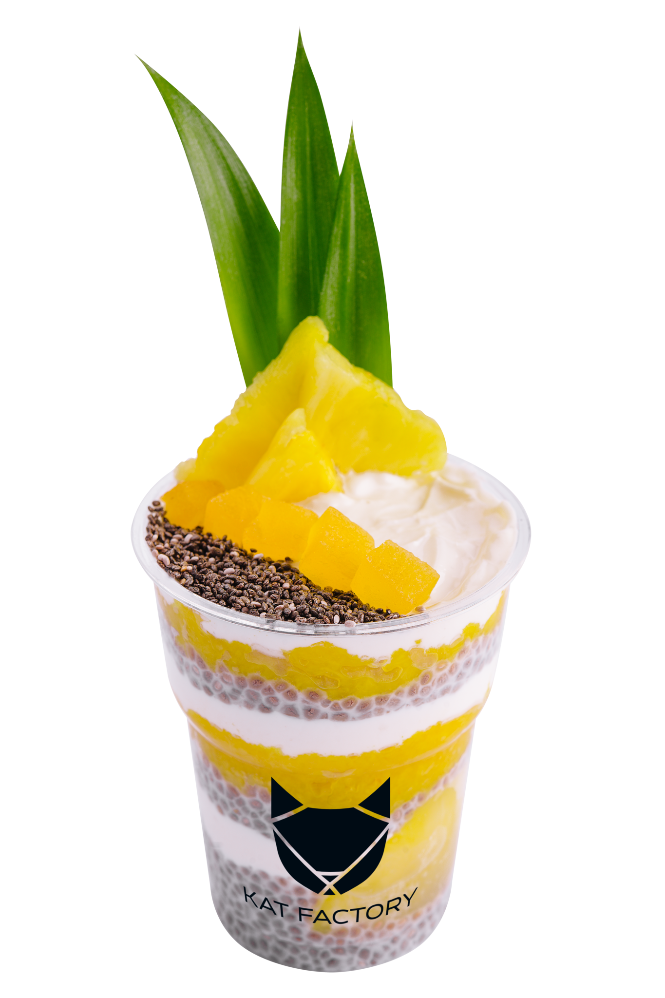 Chia pudding